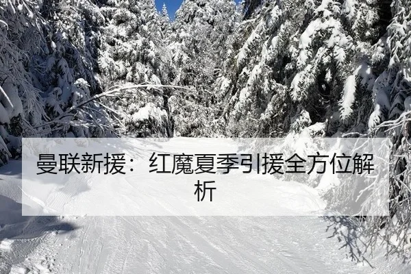 曼联新援：红魔夏季引援全方位解析
